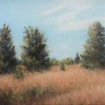 EASTERN RED CEDARS I, 4 x 6  oil/canvas