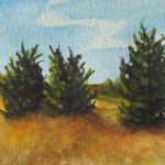Cedars, watercolor, framed and matted to 5 x 7"  SOLD