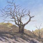 WIND-PRUNED  oil on canvas  10 x 10"